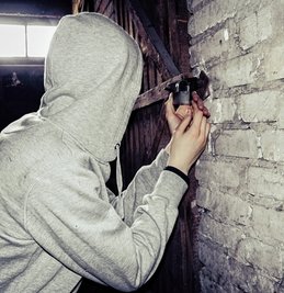 Die Einbrecher brachen die Vorhängeschlösser an zwei Abteilen auf. 