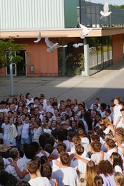 Tauben stiegen auf. Am 1. September planen die Schüler einen großen Friedenstag.