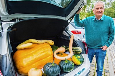 Rainer Drechsler hat schon die ersten Kürbisse für den Bauernmarkt im Kofferraum seines Autos. Dafür hat er sein Wissen an andere weitergegeben. "Es gibt viel zu beachten", sagt er. Er selbst habe 30 Jahre gebraucht, bis es richtig geklappt hat. 