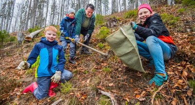 25 Sträucher haben 17 Kinder der Kita "Pöhlbachzwerge" aus Pöhla am Donnerstag an einem Hang im Scherezwald gepflanzt. 