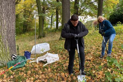 Conny Grahm (links) und Renate Groeneveld graben Mini-Eichen aus, die rund um den großen Baum wachsen. Die beiden Wechselburgerinnen sind oft im Park unterwegs – und wollen ihm etwas zurückgeben.
