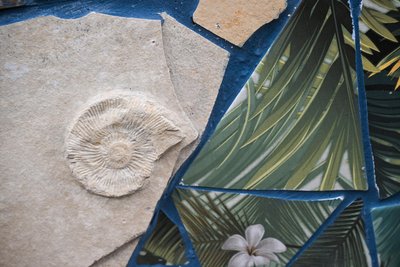 In den Kalkplatten sind Fossilien zu entdecken.