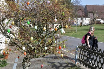 Spaziergänger können am Wegesrand Osterschmuck bewundern, dieser Osterstrauch steht beispielsweise an der Ortsdurchfahrt Helbigsdorf.