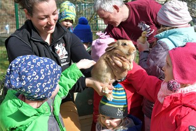 Ist der süß: Die Kinder der Kita Bräunsdorf im Striegistal durften sogar mal einen „Osterhasen“ streicheln, als Mitglieder des Bräunsdorfer Geflügel- und Kaninchenvereins mit Kaninchen zu Besuch in die Einrichtung kamen. Im Bild Züchterin Annika Bellmann mit einem drei Wochen alten Kaninchen der Rasse Rote Neuseeländer.