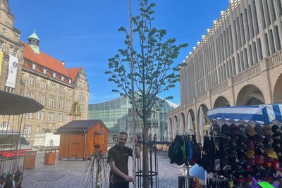 Der Marktbaum neben Karussell und Mützenstand.