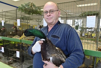 Hartmut Rudert wurde 2. Vereinsmeister auf Französische Rouen-Enten.