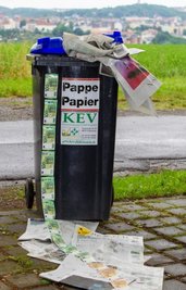 Im Einzelfall ein paar Euro, in der Summe käme einiges zusammen: Die Kreisbehörde denkt daran, ab 2027 für die Entsorgung des Wertstoffes Papier eine Leerungsgebühr einzuführen. Was kommt als nächstes? 