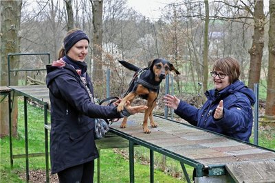 Den Hundesportplatz an der Bergstraße findet Lucy fast schon ohne Conny Ludwig (l). Hundetrainerin Katja Jähn ist mit ihrem Schützling sichtlich zufrieden. 