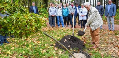 Für jeden der fünf Ehrenbürger der Stadt Burgstädt ist ein Baum gepflanzt worden, hier Norbert Linke, der ehemalige Chef des Krankenhauses und Stadtrat. Der 80-Jährige erhielt vor drei Jahren die Würdigung. 