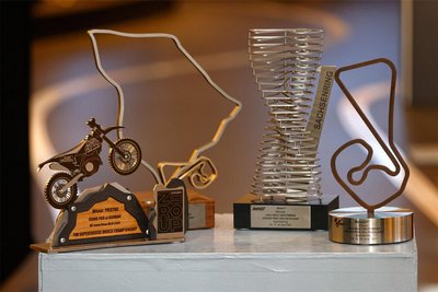 Bei den Trophäen handelt es sich um aufwendig bearbeitete Kunstwerke aus Metall.