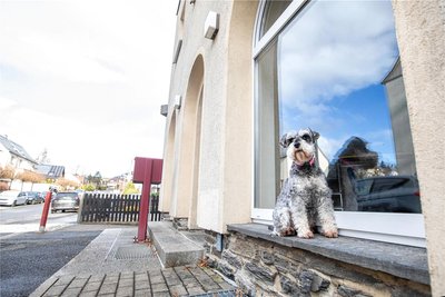 Am Heineplatz 14 im Plauener Ortsteil Neundorf eröffnet Gabriela Steiner jetzt einen Hundesalon. Bis vor Kurzem war dort die Verkaufsstelle einer Bäckerei eingemietet.