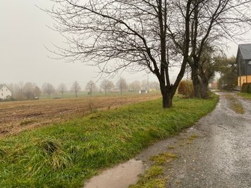 Wo jetzt noch freie Fläche ist, sollen am Steinweg (rechts) in Erlbach-Kirchberg vier Wohnhäuser entstehen. Die Bäume im Hintergrund stehen entlang der Äußeren Kirchberger Straße (S 246).