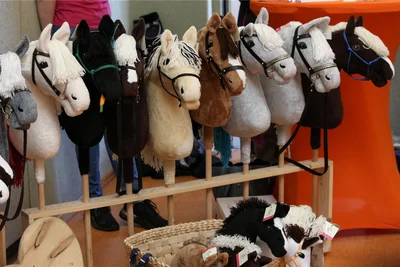 Wer seinen Hobby-Horsing-Stall erweitern wollte, hatte genug Auswahl. Allerdings kostet ein großes Steckenpferd mehr als 100 Euro.