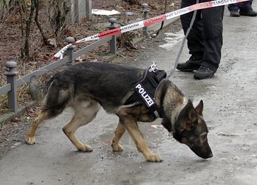 In den Gebäuden des Chemnitzer Finanzamtes sind Sprengstoffsuchhunde im Einsatz.