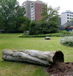 Bei der Neugestaltung des Parkes am einstigen Fritz-Heckert- und heutigen Falkeplatz entstand die Skulptur "Jugend im Sozialismus". Morsch geworden, fiel sie nun.