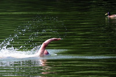 Wer zum Schwimmen ein Naturgewässer sucht, ist in Großhartmannsdorf richtig.