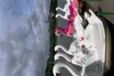Zwei Schwäne und ein Flamingo ergänzen die Tretbootflotte auf dem Schloßteich. 