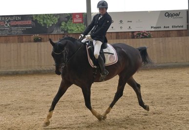 Franziska Wieczorek vom RFV Lengenfeld wurde bei der Vogtlandmeisterschaft Dritte bei den Reitern.