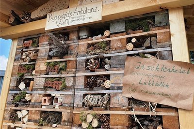 Teilansicht des Insektenhotels.  