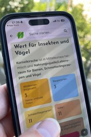 Per Handy liefert die App Hintergrundwissen direkt in den Garten.