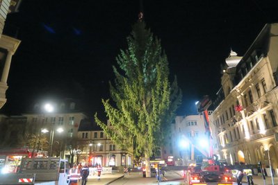 Steht seit Mittwoch am Altmarkt: der Weihnachtsbaum
