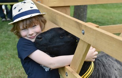 Beim Schäfertag in Eubabrunn konnten Besucher auf Tuchfühlung mit den Tieren gehen. Besonders den Kindern hat dies gut gefallen. 