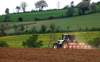 <p class="artikelinhalt">Verspäteter Anbauauftakt: Uwe Balzer sät Mais auf einem Feld der Mildenauer Agrar AG. </p>