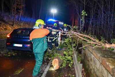 Die Feuerwehrleute beseitigten den Baum.