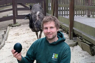 Tierparkleiter Peter Hömke mit einem Emu-Ei.