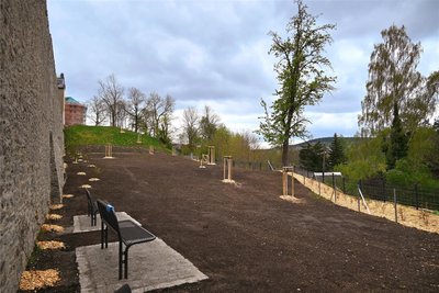 Die im Bereich des Promenadenwegs gelegene Grünfläche unterhalb der Stadtmauer wurde für 90.000 Euro umgestaltet.