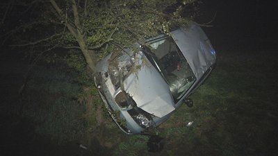 einem Baum kam das Auto der 18-Jährigen zum Stehen.