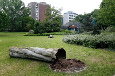 Grünfläche zwischen Falkeplatz und Pfortensteg. 