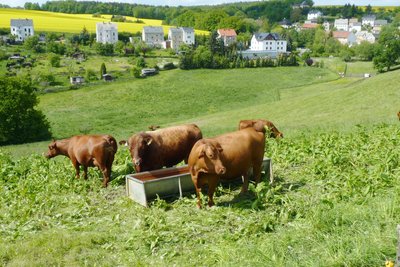 Ländliche Idylle vor der Haustür.