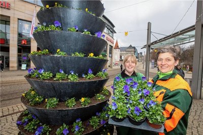  Stadtgärtner wie Claudia Heidner und Bernadette Fischer haben die Blumenpyramiden auf dem Postplatz bepflanzt.