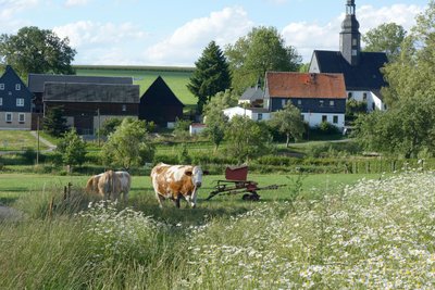 Blick auf Gottesgrün.