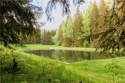 Das Breitenfelder Waldbad liegt idyllisch an der Alten Gunzener Straße. Die von Ehrenamtlichen gepflegte Naturfreizeitstätte war in der Vergangenheit häufiger Ziel von Zerstörungen und Beschädigungen gewesen. Foto: Johannes Schmidt