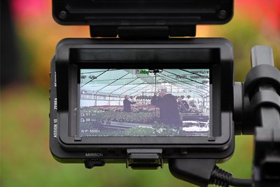Für die Reportage für den „MDR Garten“ waren die großen Gewächshäuser die perfekte Kulisse.