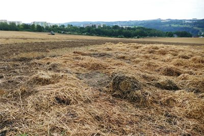 So sah das Feldstück am Freitagvormittag aus: Ein leichter Brandgeruch lag noch in der Luft. Nur an einigen Stellen lassen verkohlte Strohreste die Geschehnisse des Vorabends erahnen.