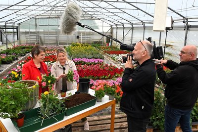 Der „MDR Garten“ aus Frankenberg wird am 2. Juni, 8.30 Uhr, im MDR-Fernsehen zu sehen sein, ab 1. Juni schon in der ARD-Mediathek.