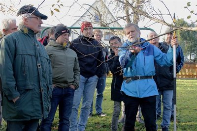 Fachmann Alfred Trapp (blaue Jacke) erklärte den Teilnehmern des Seminars, wie sie Obstbäume für guten Ertrag richtig schneiden. 