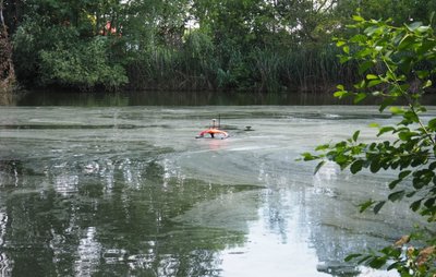 Vor allem in schwierig befahrbaren Bereichen soll das Roboterboot Daten zum Umweltmonitoring liefern. 