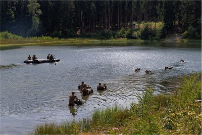 Die Soldaten mussten mit ihrem 20 Kilogramm schweren Gepäck den Teich durchschwimmen.