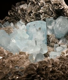 Reise um die Welt: Dieser Aquamarin auf Muskovit kommt aus Pakistan.