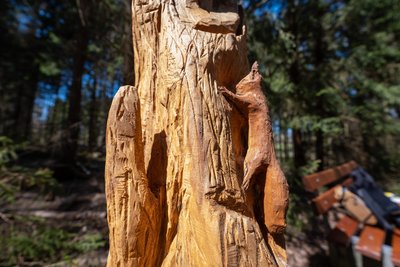 Zu entdecken sind Waldtiere wie Specht, Eichhörnchen und Uhu.