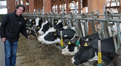 Noch angenehmer als in diesem, erst 2010 neu gebauten Stall sollen es die Tiere in jenem Stall am Standort in Wernsdorf haben, der derzeit gebaut wird, versichert Gunar Lantzsch, einer der Vorstände der Erzgebirgischen Agrargenossenschaft Forchheim.