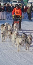 Mit seinem Zwölfergespann Siberian Huskies ging Weltmeister Karsten Neubert in Nassau im vergangenen Jahr an den Start.
