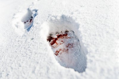 Spaziergänger entdeckten am Chemnitzer Stadtrand Blutspuren im Schnee.