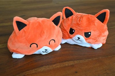 Die Lerncamps heißen offiziell „Fox-Schülercamps.“ Fuchs „Foxi“ ist das Maskottchen.