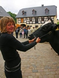 
              <p class="artikelinhalt">Denise Pfaff präsentiert stolz die Kuh Luiza, die schon nach dem ersten Kalb erstaunliche Milchmengen liefert. </p>
            