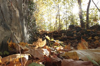 Der November begann sehr mild und erinnerte eher an Altweibersommerwetter.